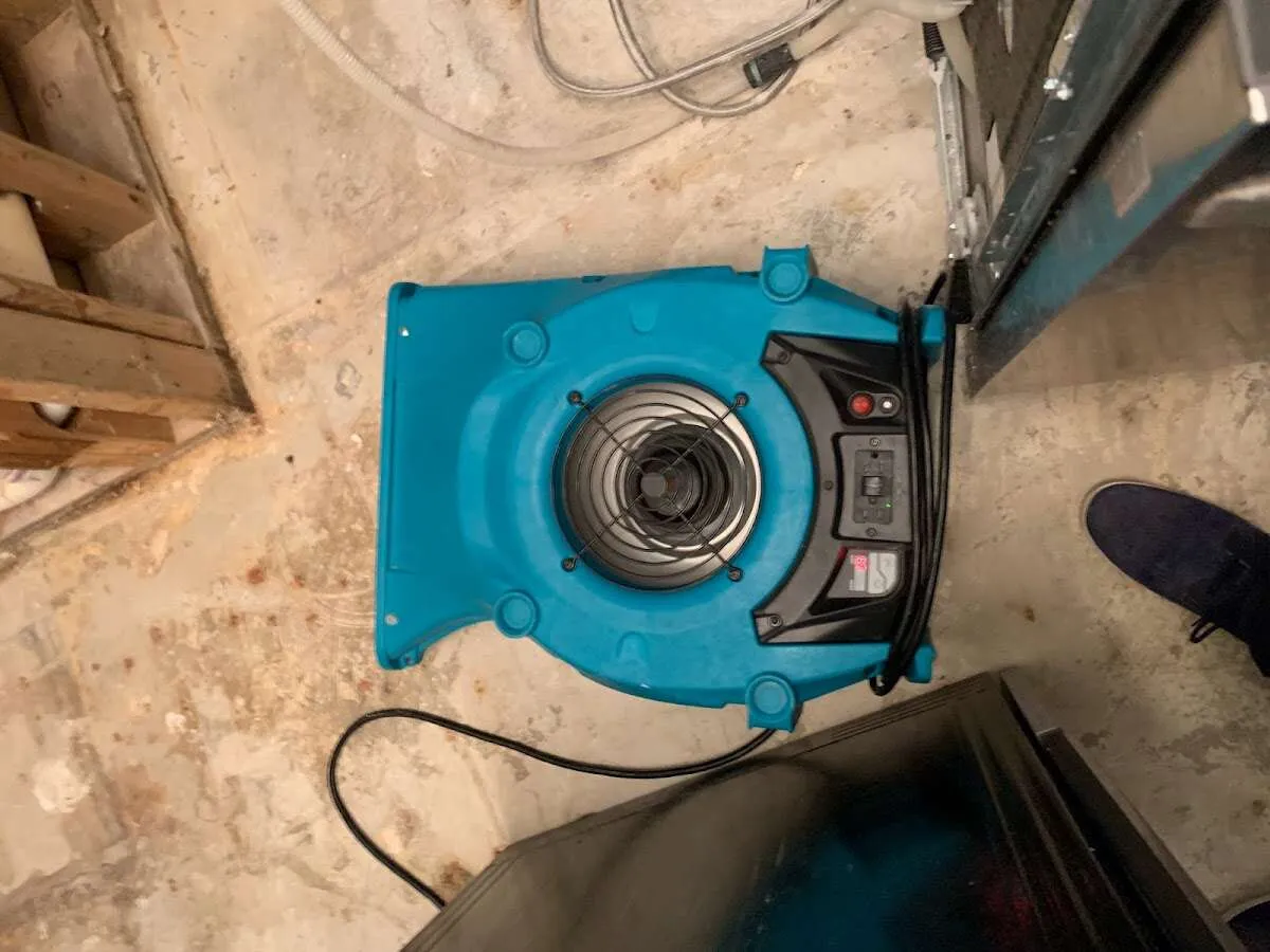Air mover drying equipment for Mold Remediation & Removal in Boonton
